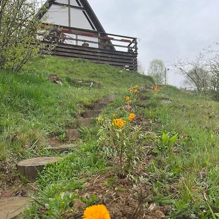 Tatil Evi файна хата 3 *